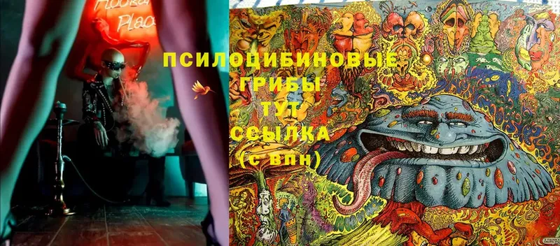 Псилоцибиновые грибы Magic Shrooms  наркотики  Воскресенск 